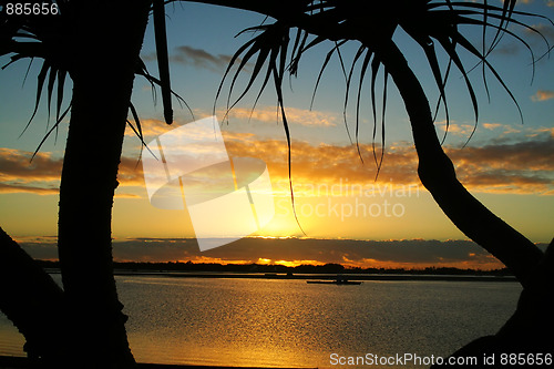 Image of Bent Tree Sunrise