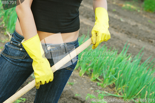 Image of gardening