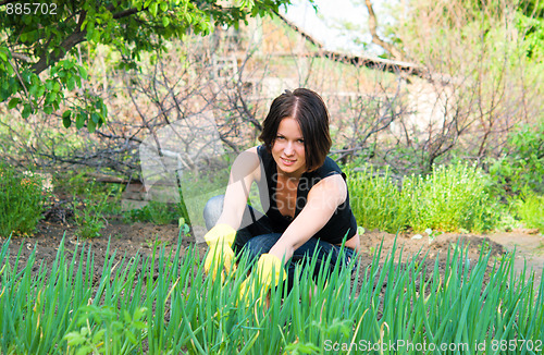 Image of gardening