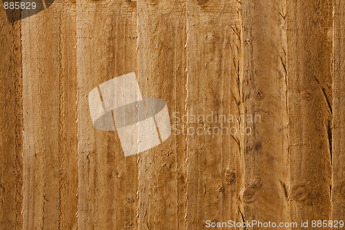 Image of Wood Texture