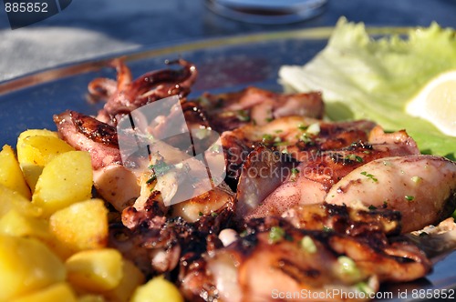 Image of Grilled squid platter