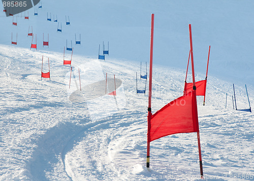 Image of Ski gates with parallel slalom