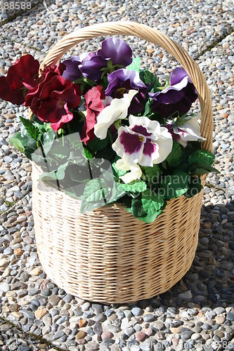 Image of Basket with pansies