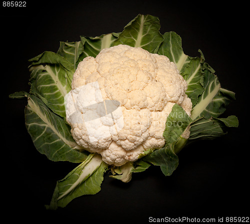 Image of Cauliflower in green sheet