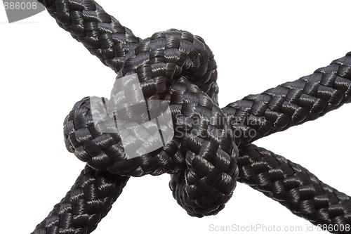 Image of Bowline Knot isolated