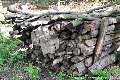 Image of Firewood stack 1