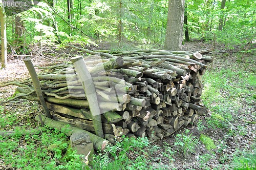 Image of Firewood stack 2