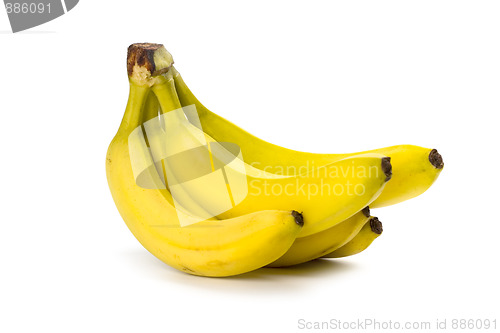 Image of bananas bunch