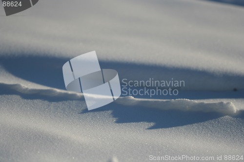 Image of Winter Background