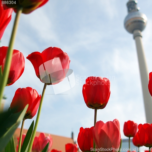 Image of TV Tower, Berlin