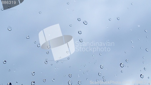 Image of Rain droplets