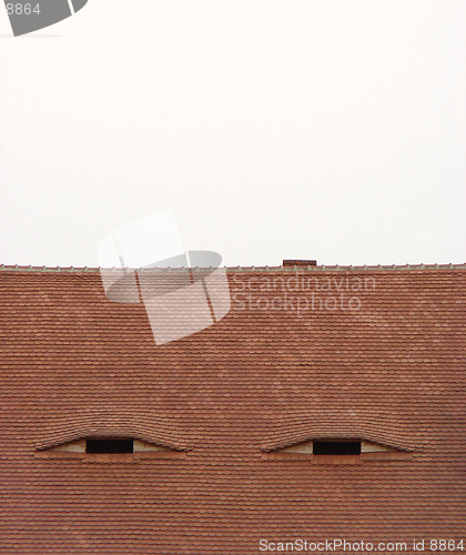 Image of Eyed Roof (Transilvanian House)