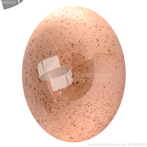 Image of Cracked egg