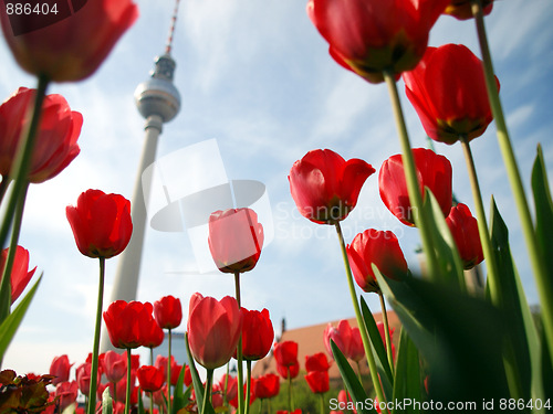 Image of TV Tower, Berlin