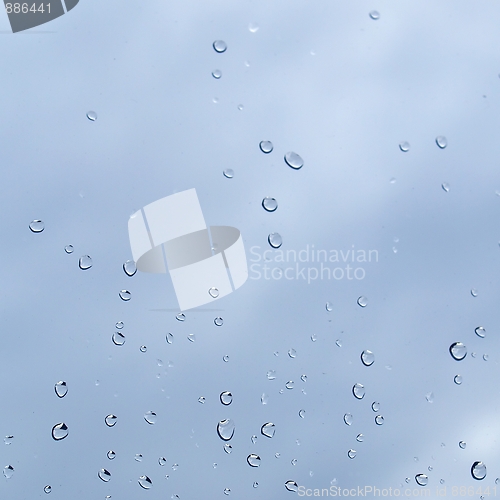 Image of Rain droplets