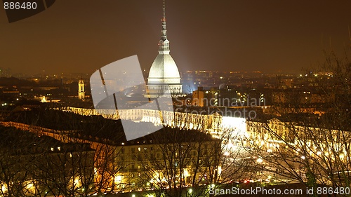 Image of Turin view