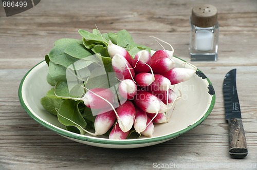 Image of Fresh Radish