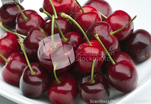 Image of Cherries