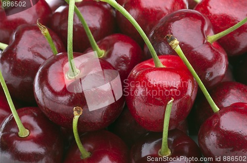 Image of Cherries