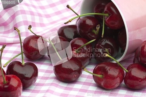 Image of Cherries and Pink