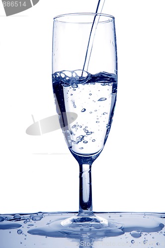 Image of Champagne Glass