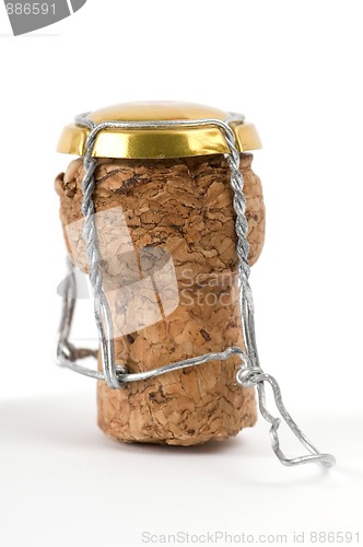 Image of Champagne Cork