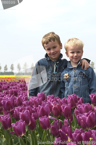 Image of Boys Between Tulips