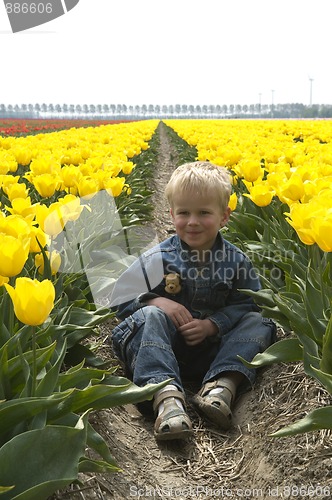 Image of Boy Between Tulips
