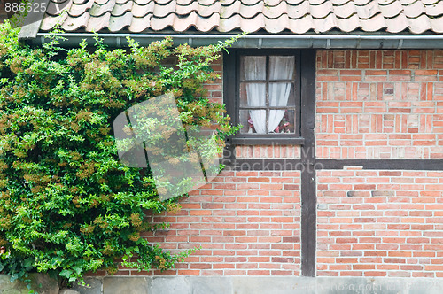 Image of Old Cottage