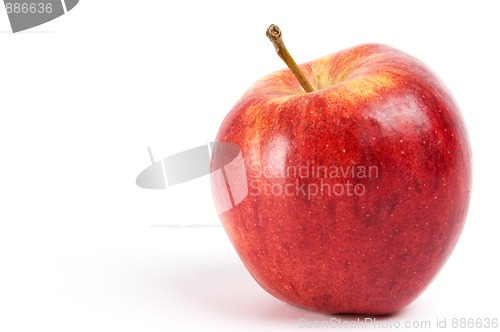 Image of Red Apple