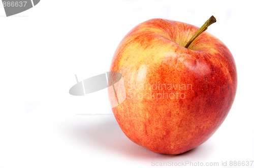 Image of Apple