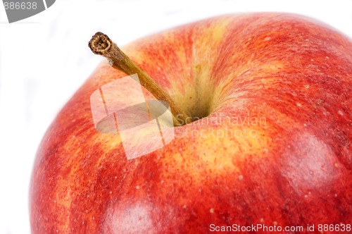 Image of Red Apple