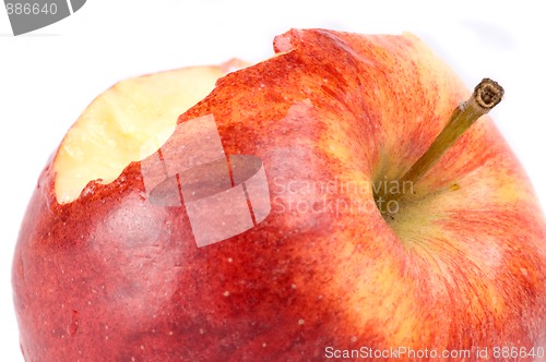 Image of Apple Bite