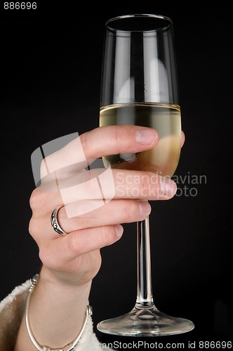 Image of Champagne Glass