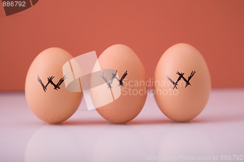 Image of www eggs