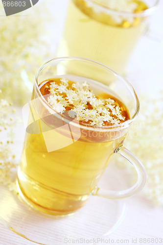 Image of Elder flower tea