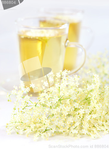 Image of Elder flower tea