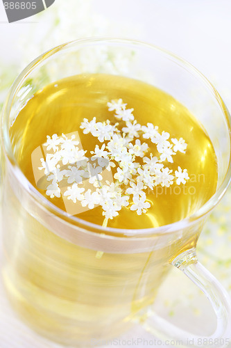 Image of Elder flower tea