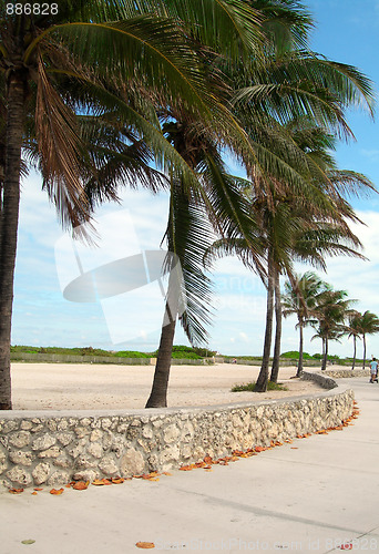 Image of pedestrian promenade south beach miami florida