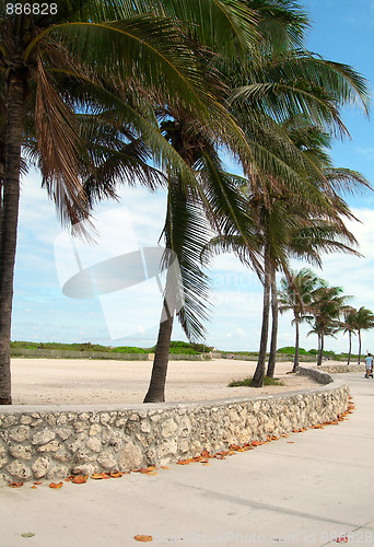 Image of pedestrian promenade south beach miami florida