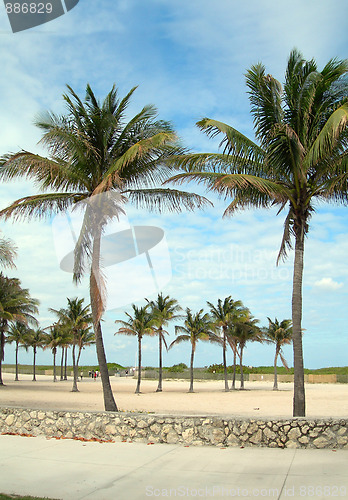 Image of pedestrian promenade south beach miami florida