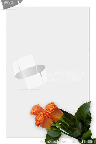 Image of Paper 6
