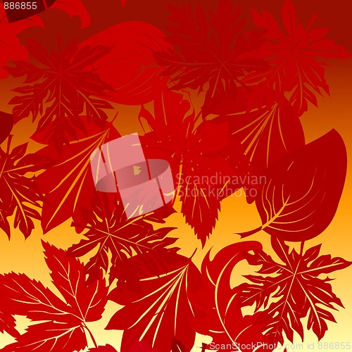 Image of Leaves background