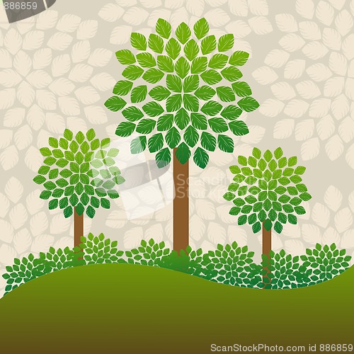 Image of trees background