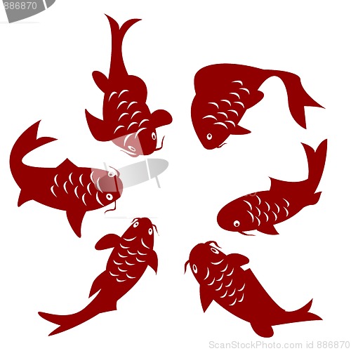 Image of Koi fish