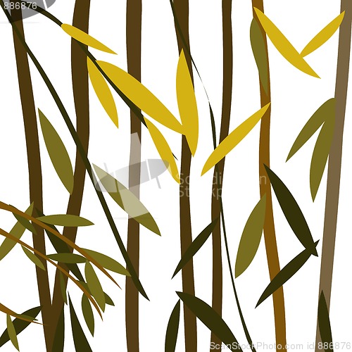 Image of Willow