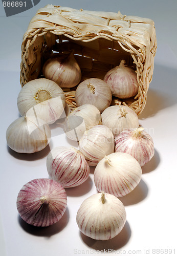 Image of Whole garlic with basket