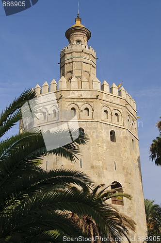 Image of Seville - Torre del Oro