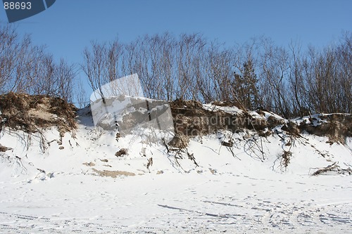 Image of Winter Scene