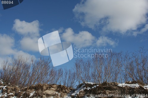 Image of Sky in Winter Time